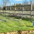  Land for sale in Chile, Pelarco, Talca, Maule, Chile