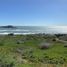  Land for sale in Chile, Navidad, Cardenal Caro, Libertador General Bernardo Ohiggins, Chile