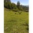  Villa en venta en Chile, Pucón, Cautín, Araucanía, Chile