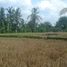  Land for sale in Ubud, Gianyar, Ubud