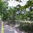  Land for sale in Mabini, Calabarzon, Mabini