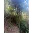  Land for sale in Chile, Pucon, Cautin, Araucania, Chile