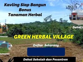  Land for sale in Maros, South Sulawesi, Bantimurung, Maros