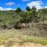  Terreno (Parcela) en venta en Chile, Litueche, Cardenal Caro, Libertador General Bernardo O'Higgins, Chile
