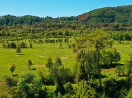  Land for sale in Chile, Loncoche, Cautin, Araucania, Chile