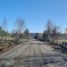  Land for sale in Chile, Loncoche, Cautin, Araucania, Chile