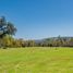  Land for sale in Chile, Loncoche, Cautin, Araucania, Chile