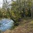  Land for sale in Chile, Loncoche, Cautin, Araucania, Chile