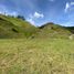 Terrain à vendre à La Ceja, Antioquia, La Ceja, Antioquia