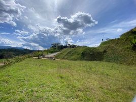 Terrain à vendre à La Ceja, Antioquia, La Ceja, Antioquia