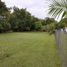  Land for sale in Monte Lirio, Chiriqui, Monte Lirio, Renacimiento