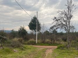  Grundstück zu verkaufen in Chignahuapan, Puebla, Chignahuapan