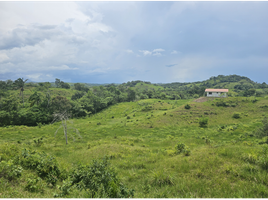  Grundstück zu verkaufen in La Chorrera, Panama Oeste, Barrio Colon