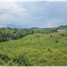  Terrain for sale in La Chorrera, Panama Oeste, Barrio Colon, La Chorrera