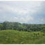  Terrain for sale in La Chorrera, Panama Oeste, Barrio Colon, La Chorrera