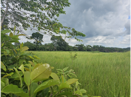  Terrain for sale in La Chorrera, Panama Oeste, Barrio Colon, La Chorrera