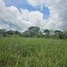  Terrain for sale in Barrio Colon, La Chorrera, Barrio Colon