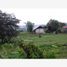  Land for sale in Emiliano Zapata, Veracruz, Emiliano Zapata