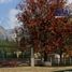 2 Bedroom House for sale in Durango, Durango, Durango, Durango