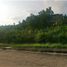  Terreno (Parcela) en venta en Talisay City, Central Visayas, Talisay City