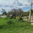  Terreno (Parcela) en venta en Tantima, Veracruz, Tantima