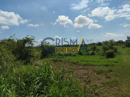  Terreno (Parcela) en venta en Tantima, Veracruz, Tantima