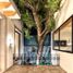 4 Schlafzimmer Haus zu verkaufen in Alvaro Obregon, Mexico City, Alvaro Obregon
