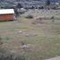  Terreno (Parcela) en venta en Maule, San Javier, Linares, Maule