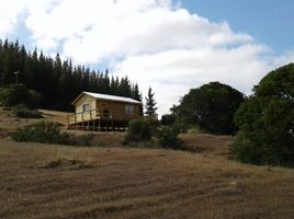  Terreno (Parcela) en venta en Maule, San Javier, Linares, Maule