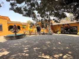 15 Schlafzimmer Haus zu vermieten in Cuernavaca, Morelos, Cuernavaca