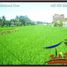  Land for sale in Ubud, Gianyar, Ubud