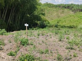  Terreno (Parcela) en venta en Ulloa, Valle Del Cauca, Ulloa