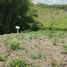  Land for sale in Ulloa, Valle Del Cauca, Ulloa