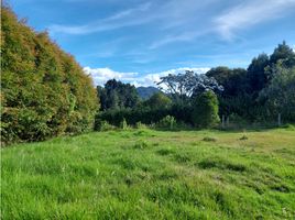  Land for sale in Retiro, Antioquia, Retiro