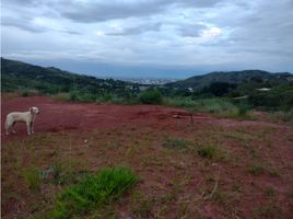  Land for sale in Cali, Valle Del Cauca, Cali