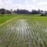  Land for sale in Sukawati, Gianyar, Sukawati