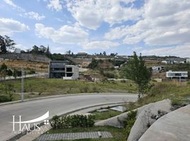  Grundstück zu verkaufen in Naucalpan De Juarez, Mexico, Naucalpan De Juarez