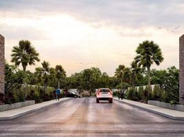 Grundstück zu verkaufen in Conkal, Yucatan, Conkal