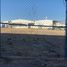  Land for rent in Chihuahua, Chihuahua, Chihuahua, Chihuahua