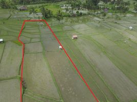  Land for sale in Penebel, Tabanan, Penebel