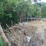 Terrain à vendre à Tuxtla Gutierrez, Chiapas, Tuxtla Gutierrez