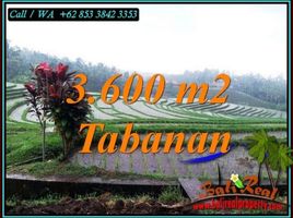  Tanah for sale in Selemadeg, Tabanan, Selemadeg