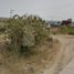  Land for sale in Tlayacapan, Morelos, Tlayacapan