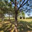  Terreno (Parcela) en venta en Campana, Buenos Aires, Campana