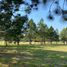  Terreno (Parcela) en venta en Campana, Buenos Aires, Campana