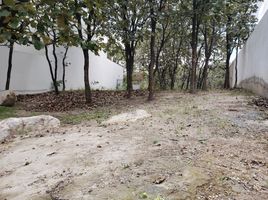 Terrain à vendre à Zapopan, Jalisco, Zapopan, Jalisco