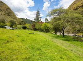  Terreno (Parcela) en venta en Loja, Vilcabamba (Victoria), Loja, Loja