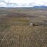  Land for sale in Cusihuiriachic, Chihuahua, Cusihuiriachic
