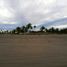  Land for sale in Tecuala, Nayarit, Tecuala