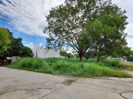  Land for sale in Cordoba, Monteria, Cordoba